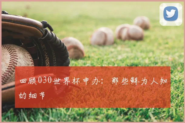 回顾030世界杯申办：那些鲜为人知的细节